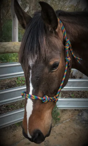 Rainbow Rope Halter